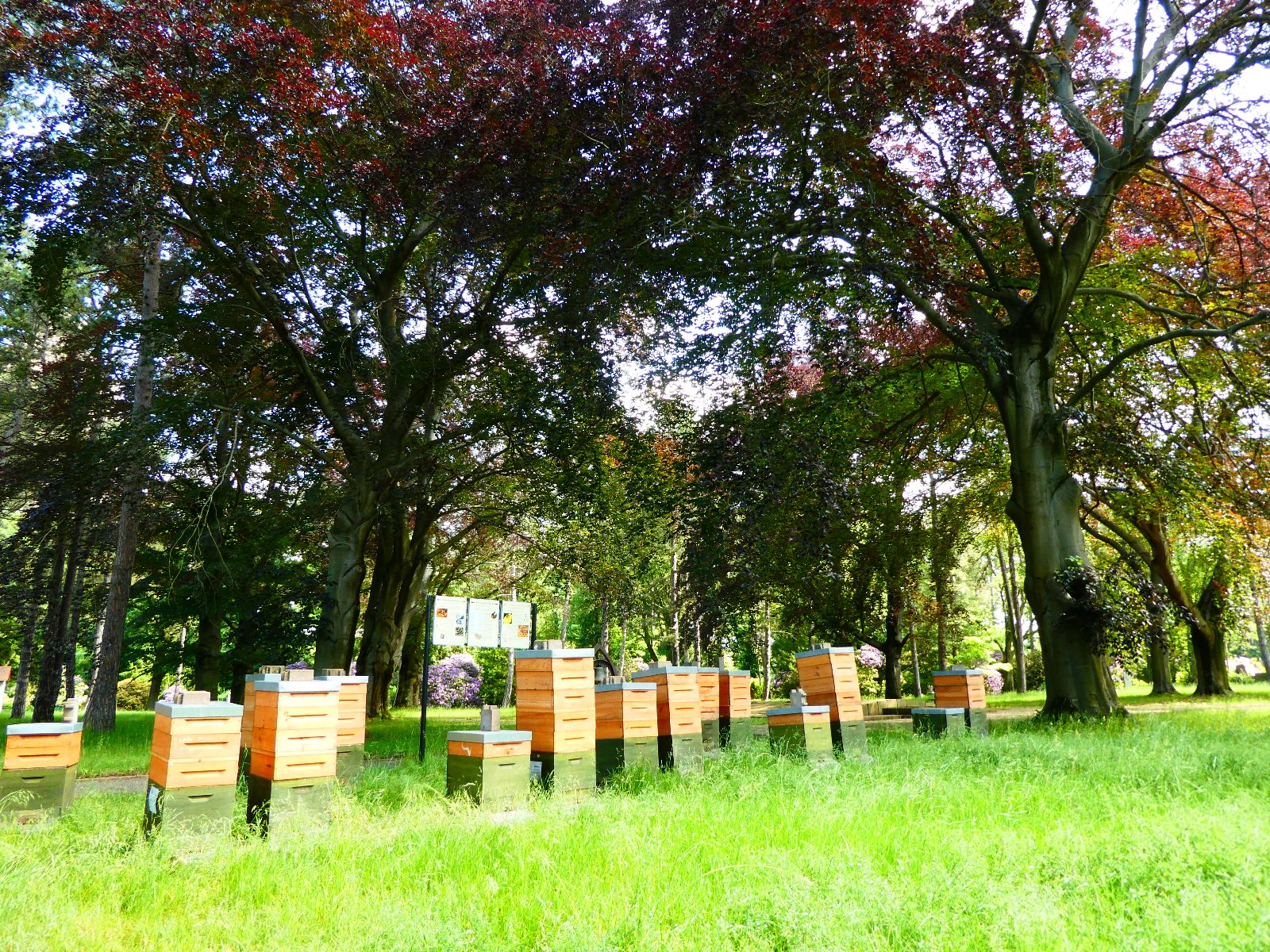 Betrieb Leipziger Stadtteilhonig
